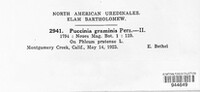 Puccinia graminis image